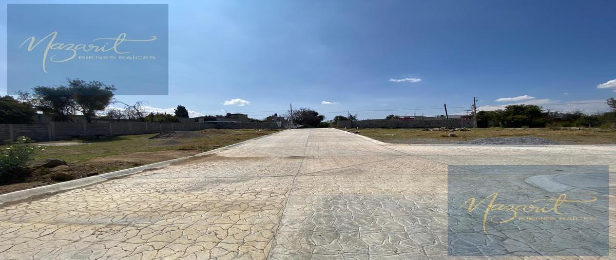 Foto de terreno habitacional en venta en  , tecolotla, apetatitlán de antonio carvajal, tlaxcala, 0 No. 05