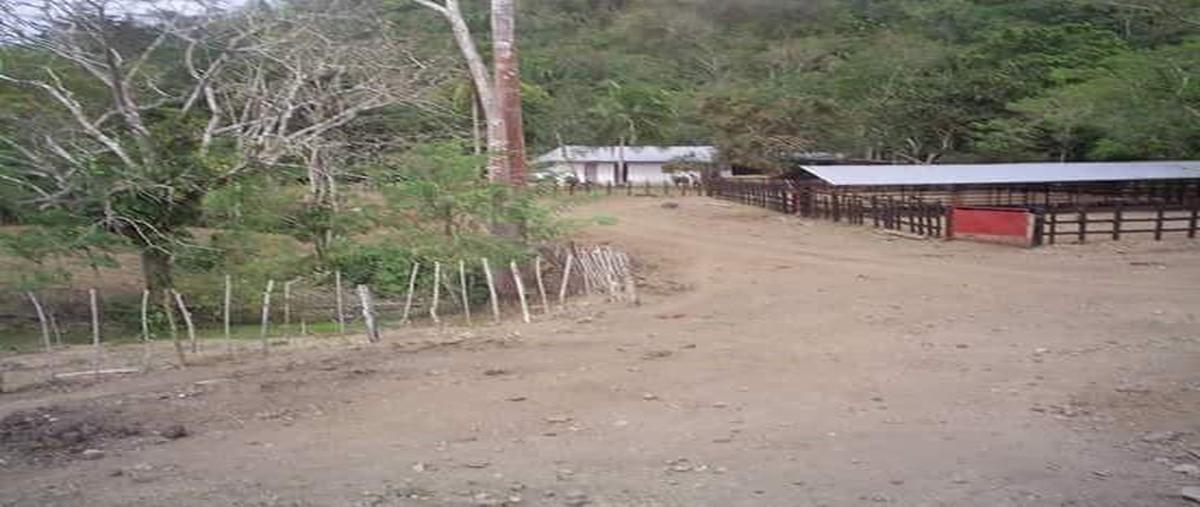 Foto de casa en venta en  , tecolutla, tecolutla, veracruz de ignacio de la llave, 11756804 No. 05