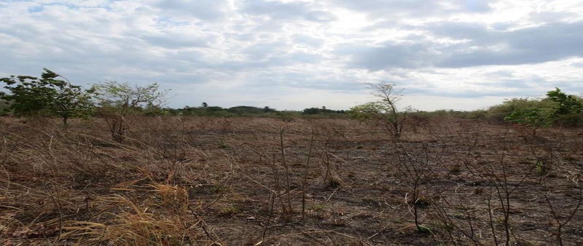 Foto de terreno habitacional en , tecolutla, tecolutla, veracruz de ignacio de la llave, 0 foto 01 Foto de terreno habitacional en venta en , tecolutla, tecolutla, veracruz de ignacio de la llave, 0 No. 01
