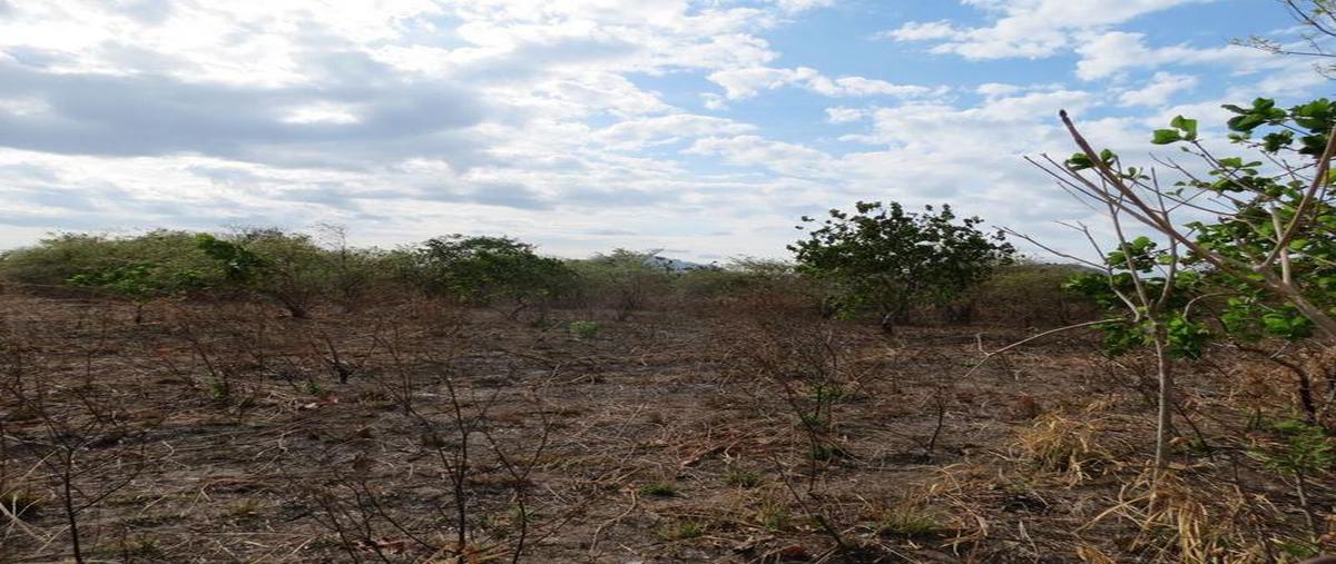 Foto de terreno habitacional en , tecolutla, tecolutla, veracruz de ignacio de la llave, 0 foto 02 Foto de terreno habitacional en venta en , tecolutla, tecolutla, veracruz de ignacio de la llave, 0 No. 02