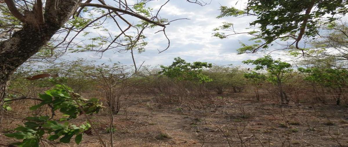 Foto de terreno habitacional en , tecolutla, tecolutla, veracruz de ignacio de la llave, 0 foto 03 Foto de terreno habitacional en venta en , tecolutla, tecolutla, veracruz de ignacio de la llave, 0 No. 03