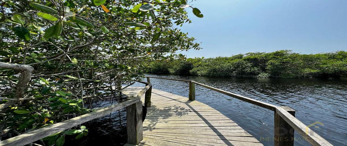 Foto de terreno habitacional en venta en  , tecolutla, tecolutla, veracruz de ignacio de la llave, 0 No. 04