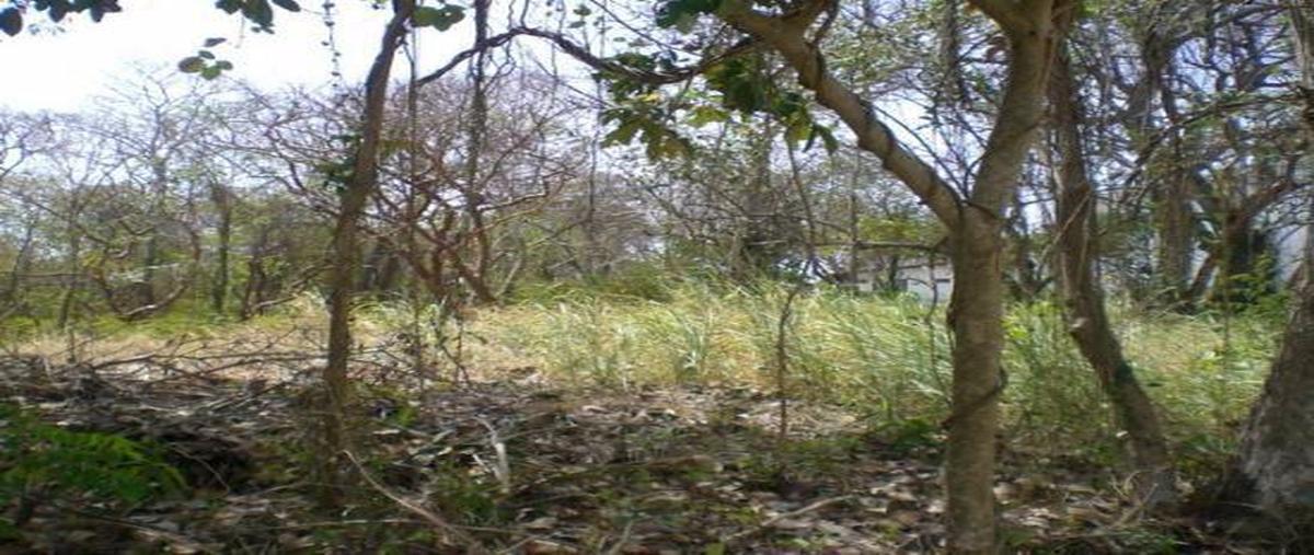Foto de terreno comercial en , tecolutla, tecolutla, veracruz de ignacio de la llave, 8036136 foto 04 Foto de terreno comercial en venta en , tecolutla, tecolutla, veracruz de ignacio de la llave, 8036136 No. 04