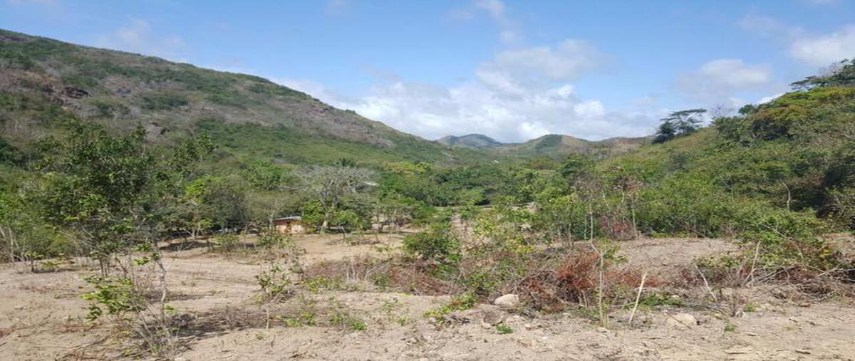 Foto de casa en venta en  , tecolutla, tecolutla, veracruz de ignacio de la llave, 8036321 No. 03