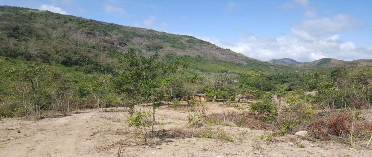Foto de casa en venta en  , tecolutla, tecolutla, veracruz de ignacio de la llave, 8036321 No. 04