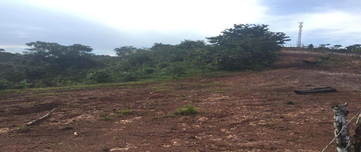 Foto de terreno habitacional en venta en  , tecolutla, tecolutla, veracruz de ignacio de la llave, 8036806 No. 03