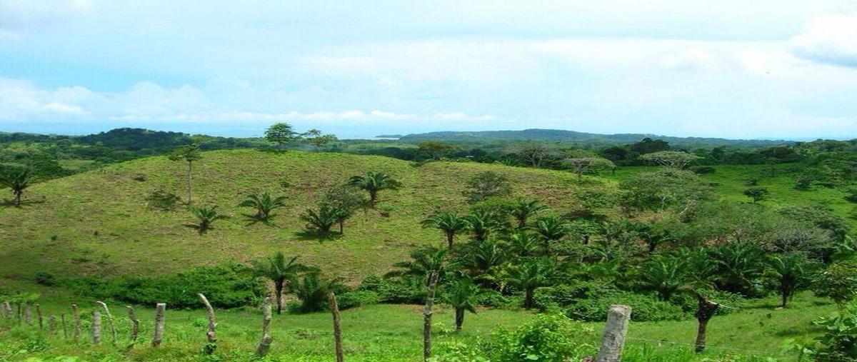 Foto de terreno habitacional en venta en  , tecolutla, tecolutla, veracruz de ignacio de la llave, 8036806 No. 04