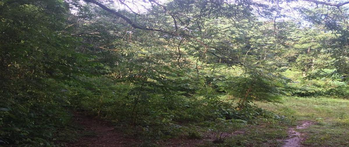 Foto de terreno habitacional en venta en  , tecolutla, tecolutla, veracruz de ignacio de la llave, 8036806 No. 05