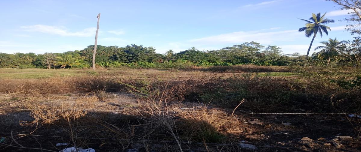 Foto de terreno habitacional en renta en  , tecomán estación, tecomán, colima, 0 No. 04
