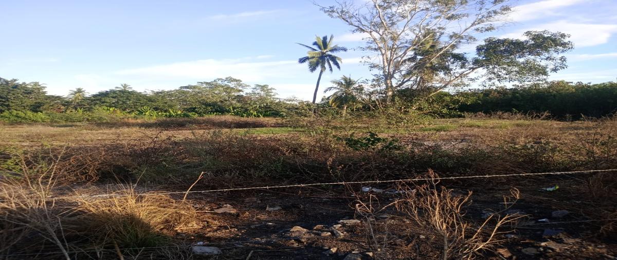 Foto de terreno habitacional en renta en  , tecomán estación, tecomán, colima, 0 No. 05