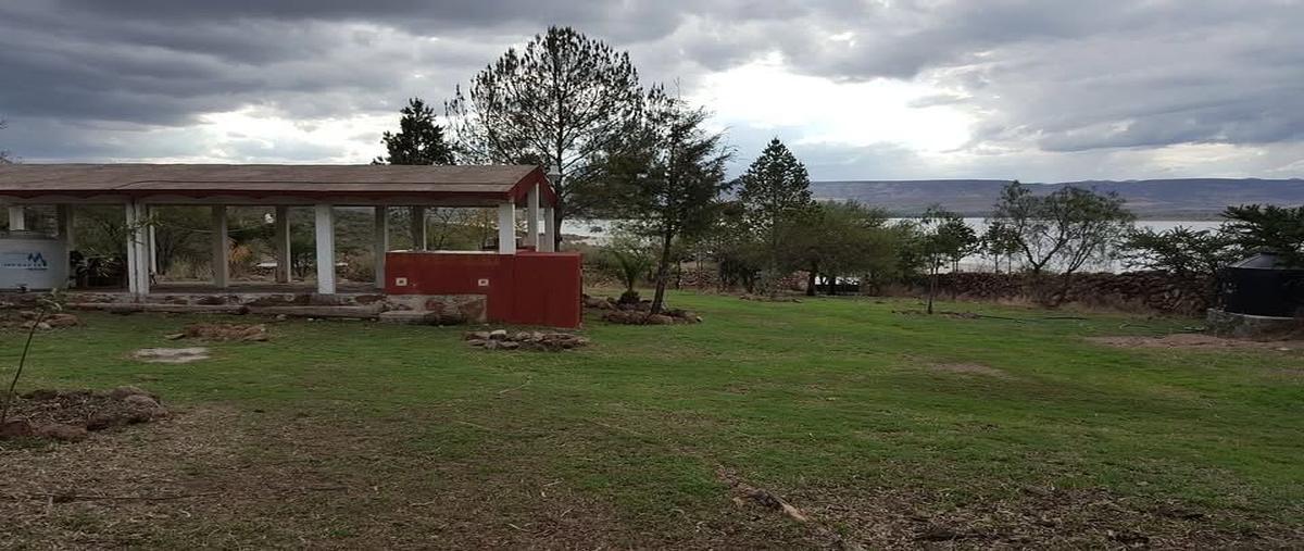 Foto de rancho en venta en tecongo , san josé de gracia, san josé de gracia, aguascalientes, 0 No. 03