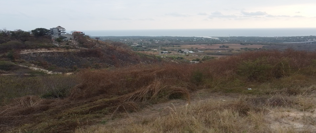 Foto de terreno habitacional en venta en tecozautla , barra de navidad, santa maría colotepec, oaxaca, 31601026 No. 03
