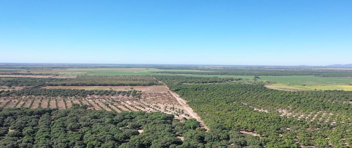 Foto de terreno habitacional en venta en  , tecuala centro, tecuala, nayarit, 24150360 No. 03