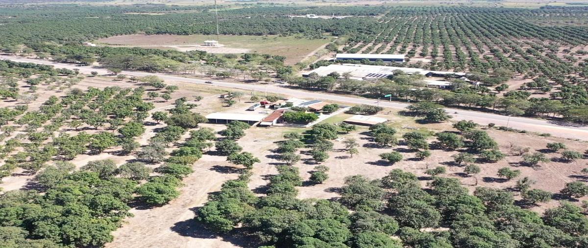 Foto de terreno habitacional en venta en  , tecuala centro, tecuala, nayarit, 24150360 No. 04