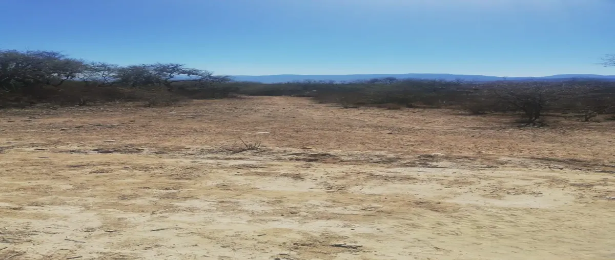 Foto de terreno comercial en venta en tehuacán 101, tehuacán (tehuacán), tehuacán, puebla, 0 No. 03