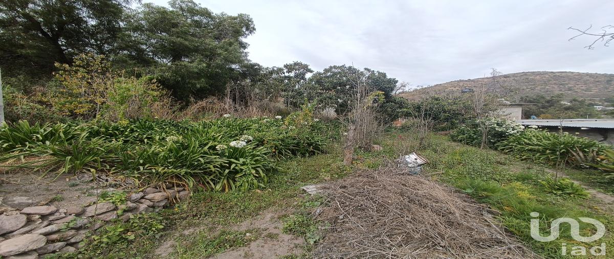 Foto de terreno habitacional en venta en tehuixco 53, la purificación tepetitla, texcoco, méxico, 29083030 No. 05