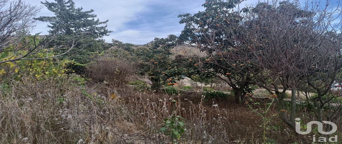 Foto de terreno habitacional en venta en tehuixco 59, la purificación tepetitla, texcoco, méxico, 29083030 No. 04