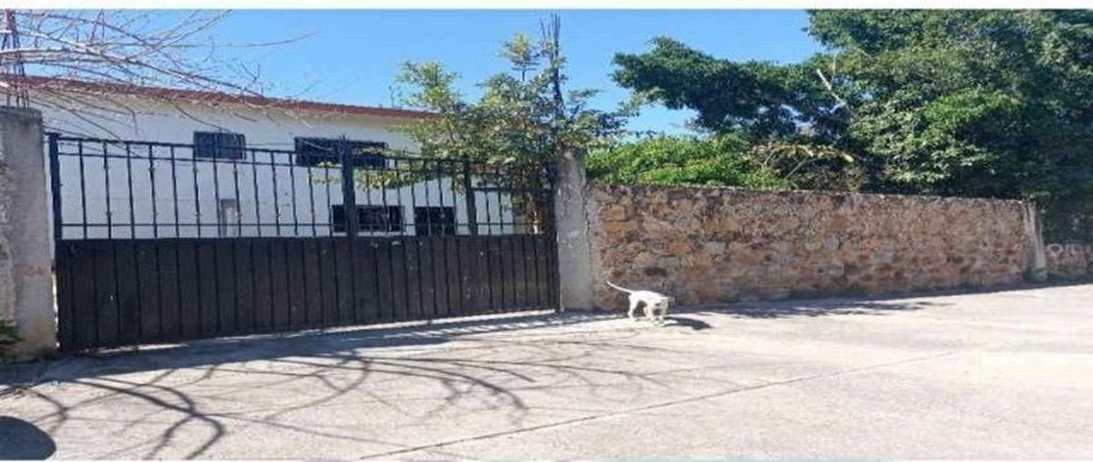 Foto de casa en venta en tehuixtla , 10 de mayo, puente de ixtla, morelos, 27806061 No. 03