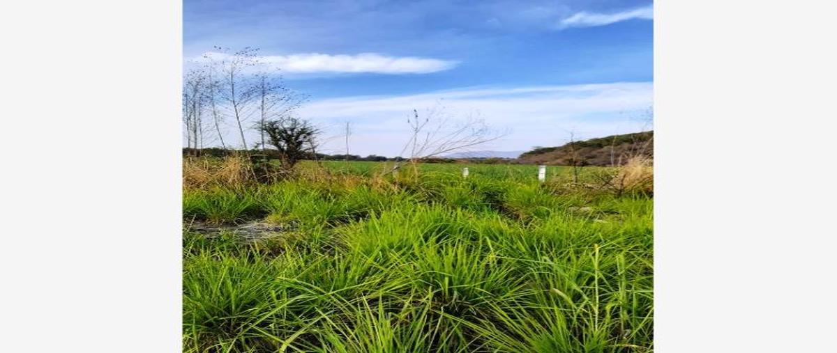 Foto de terreno comercial en venta en  , tehuixtla, jojutla, morelos, 15692243 No. 04