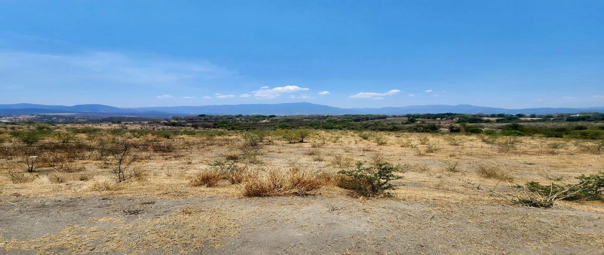 Foto de terreno habitacional en , tehuixtla, jojutla, morelos, 0 foto 01 Foto de terreno habitacional en venta en , tehuixtla, jojutla, morelos, 0 No. 01