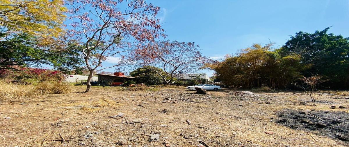 Foto de terreno habitacional en venta en  , tejalpa, jiutepec, morelos, 27700289 No. 05