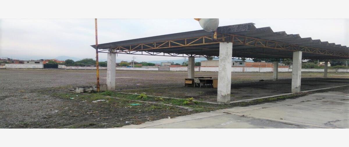 Foto de terreno habitacional en venta en  , tejalpa, jiutepec, morelos, 0 No. 02