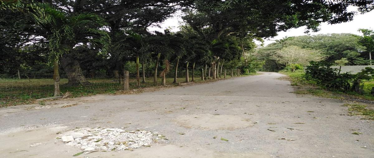 Foto de terreno habitacional en venta en tejar , el tejar, medellín de bravo, veracruz de ignacio de la llave, 23891547 No. 03
