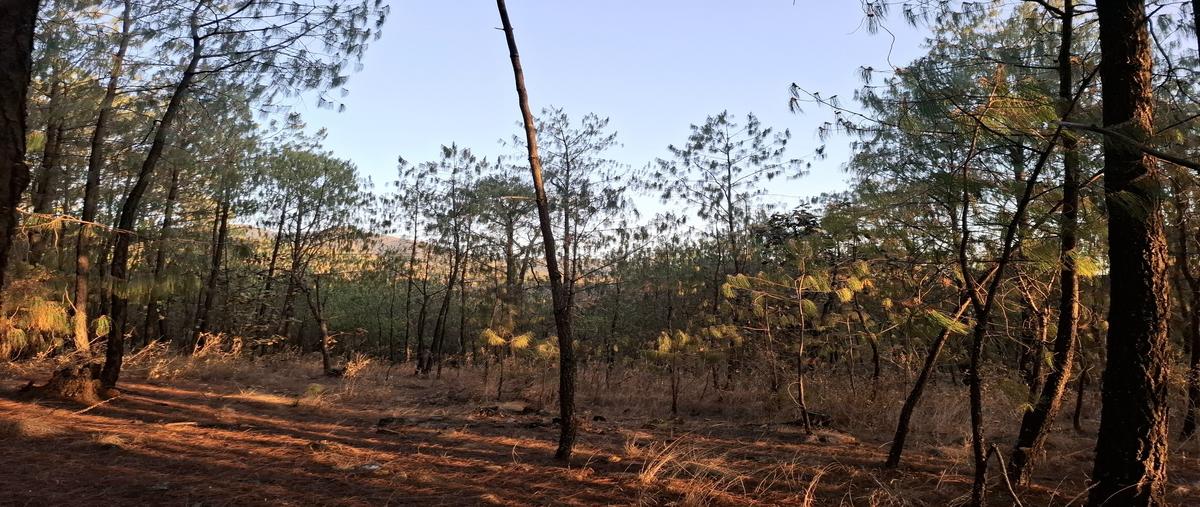 Foto de terreno habitacional en venta en tejon , tapalpa, tapalpa, jalisco, 29691178 No. 03