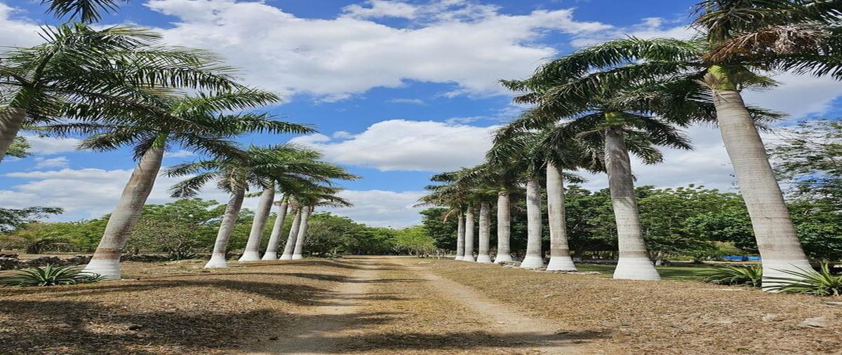 Foto de rancho en venta en tekat , mococha, mocochá, yucatán, 0 No. 03