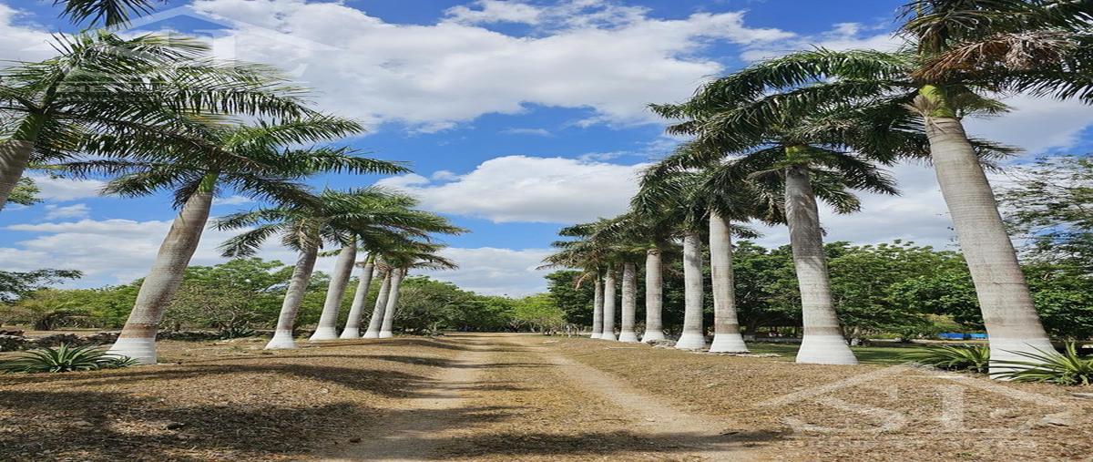 Foto de casa en venta en  , tekat, mocochá, yucatán, 0 No. 04