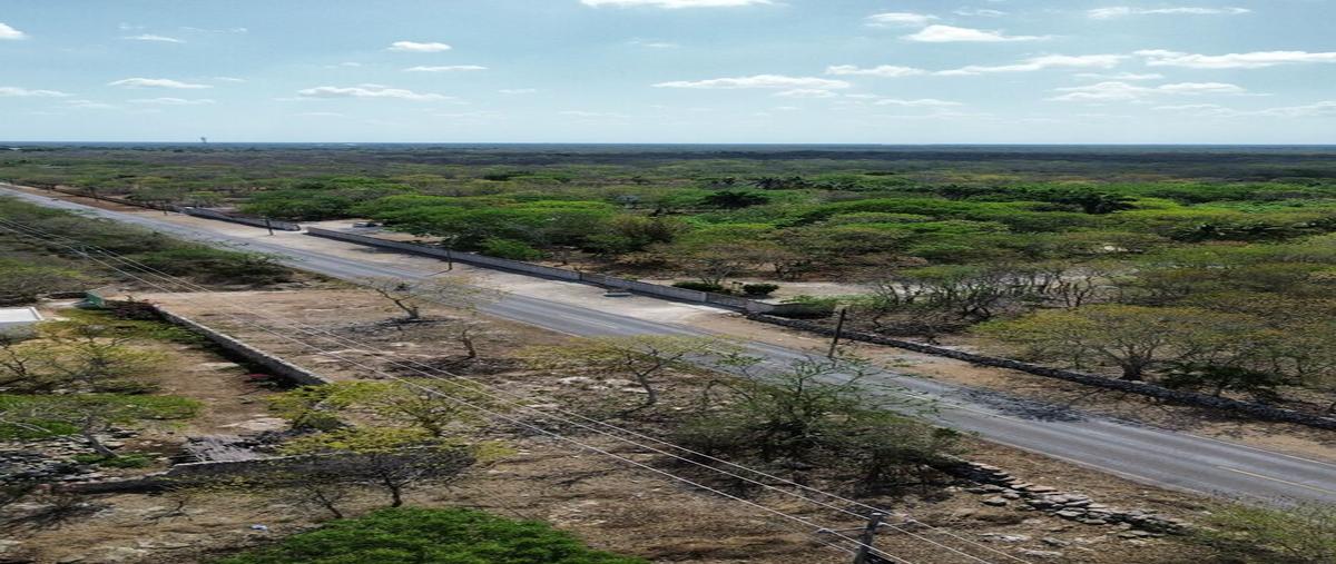 Foto de rancho en venta en  , tekat, mocochá, yucatán, 0 No. 04