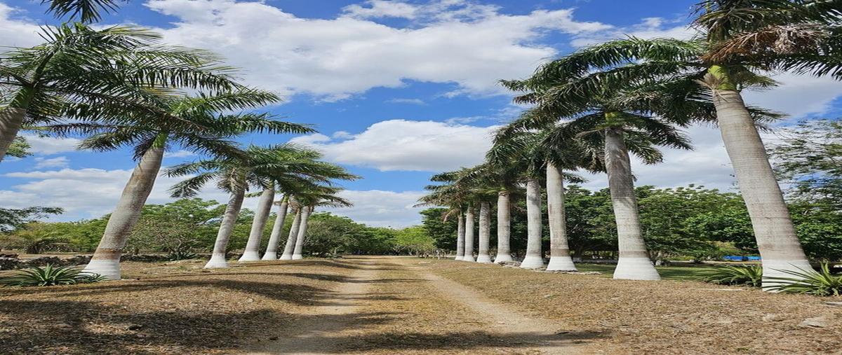 Foto de rancho en venta en  , tekat, mocochá, yucatán, 0 No. 05
