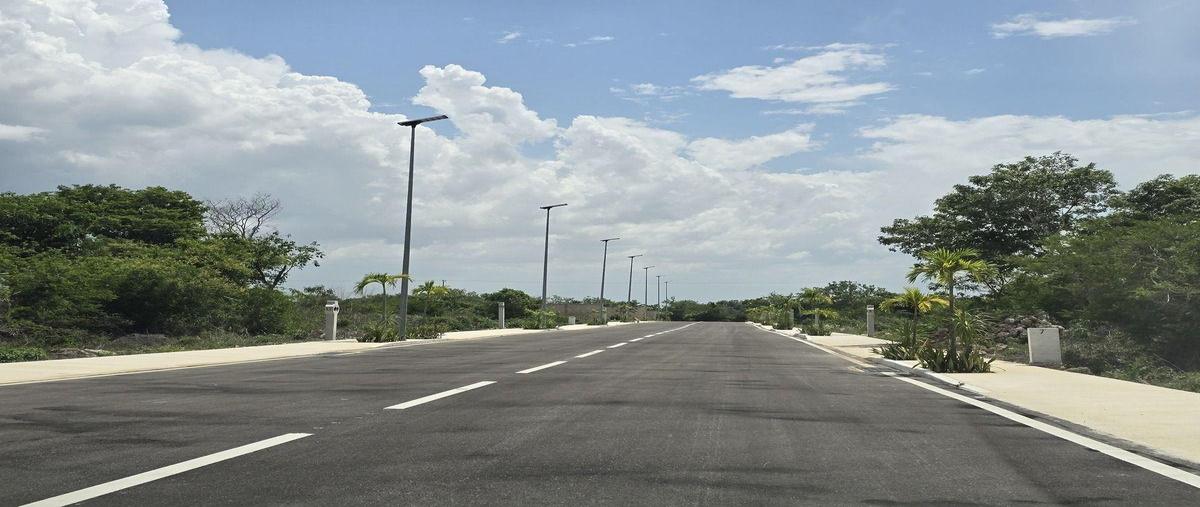 Foto de terreno habitacional en venta en  , tekat, mocochá, yucatán, 31427066 No. 05