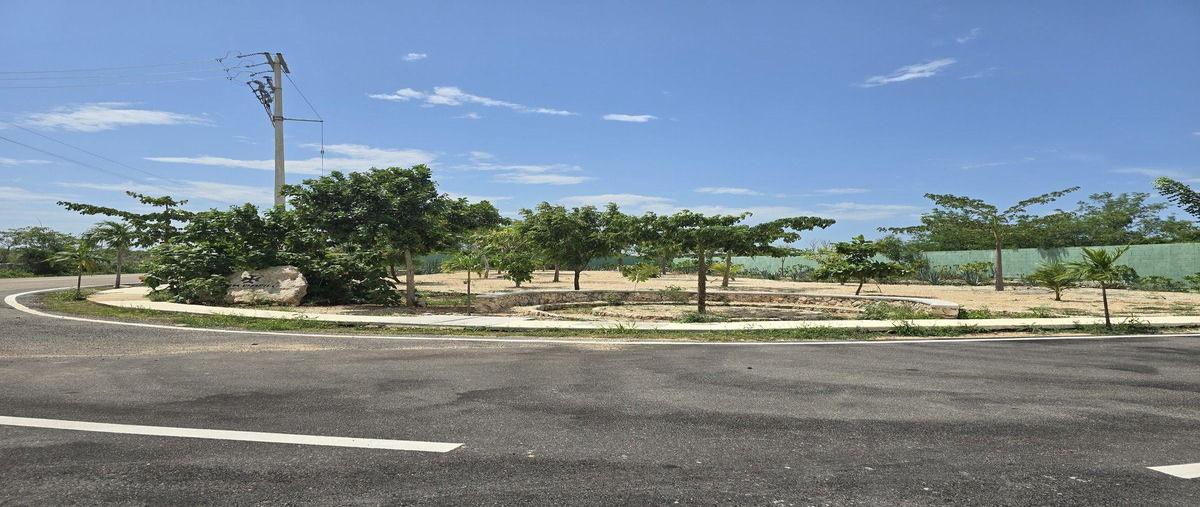 Foto de terreno habitacional en venta en  , tekat, mocochá, yucatán, 0 No. 05