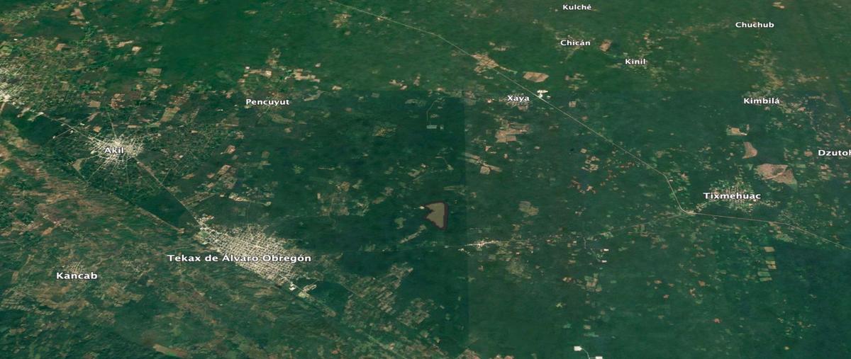 Foto de rancho en venta en  , tekax de álvaro obregón, tekax, yucatán, 0 No. 03