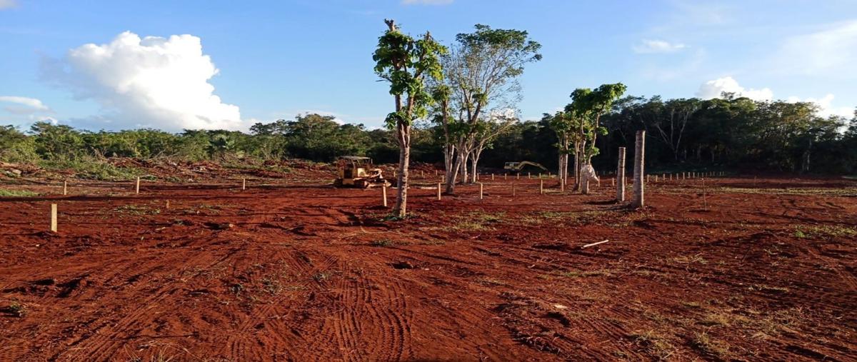 Foto de rancho en venta en  , tekax de álvaro obregón, tekax, yucatán, 0 No. 05