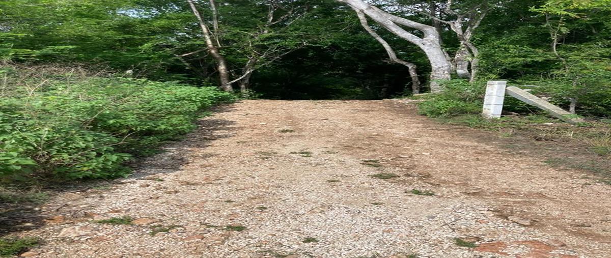 Foto de terreno habitacional en venta en tekax de álvaro obregón, tekax, yucatán, 97976 , tekax de álvaro obregón, tekax, yucatán, 25410220 No. 03