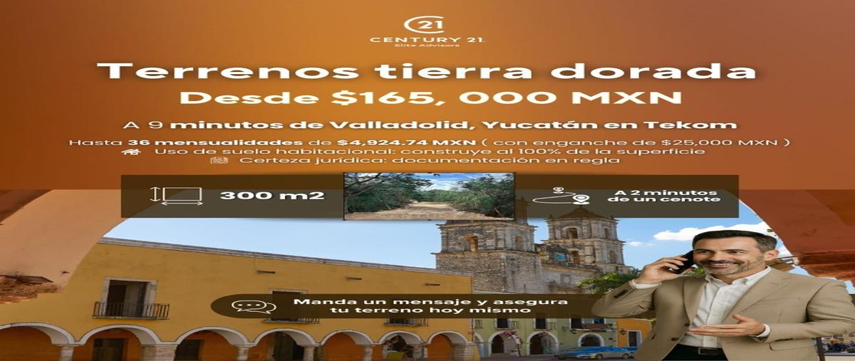 Foto de terreno habitacional en , tekom, tekom, yucatán, 30308175 foto 03 Foto de terreno habitacional en venta en , tekom, tekom, yucatán, 30308175 No. 03