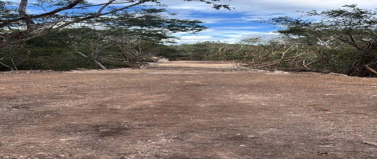 Foto de terreno habitacional en , tekom, tekom, yucatán, 30308175 foto 04 Foto de terreno habitacional en venta en , tekom, tekom, yucatán, 30308175 No. 04