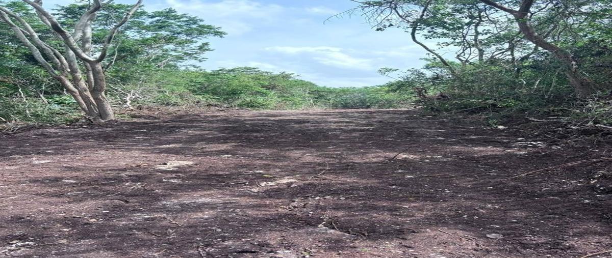 Foto de terreno habitacional en , tekom, tekom, yucatán, 30308175 foto 05 Foto de terreno habitacional en venta en , tekom, tekom, yucatán, 30308175 No. 05