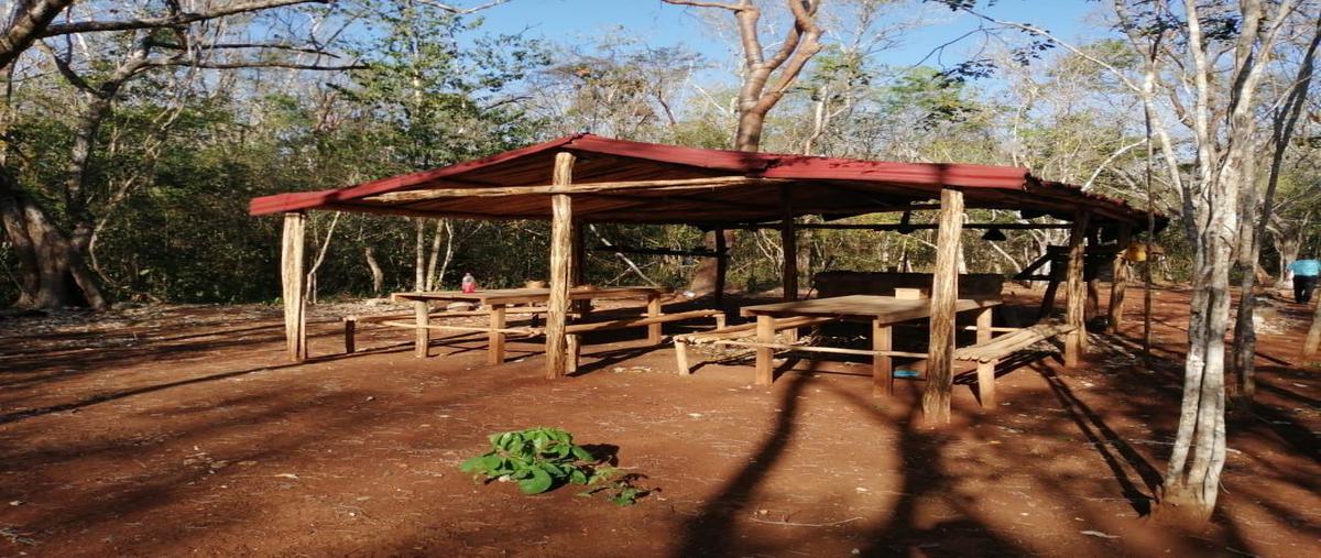 Foto de terreno habitacional en venta en tekom, tekom, yucatán , tekom, tekom, yucatán, 25739246 No. 04