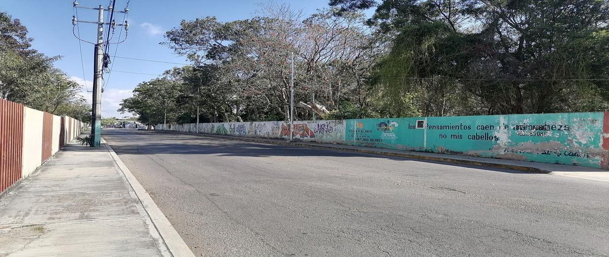 Foto de terreno comercial en tela , residencial chetumal i y ii (2004), othón p. blanco, quintana roo, 26508038 foto 05 Foto de terreno comercial en renta en tela , residencial chetumal i y ii (2004), othón p. blanco, quintana roo, 26508038 No. 05