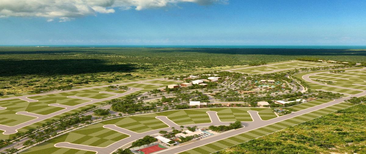 Foto de terreno habitacional en , telchac puerto, telchac puerto, yucatán, 20136395 foto 03 Foto de terreno habitacional en venta en , telchac puerto, telchac puerto, yucatán, 20136395 No. 03
