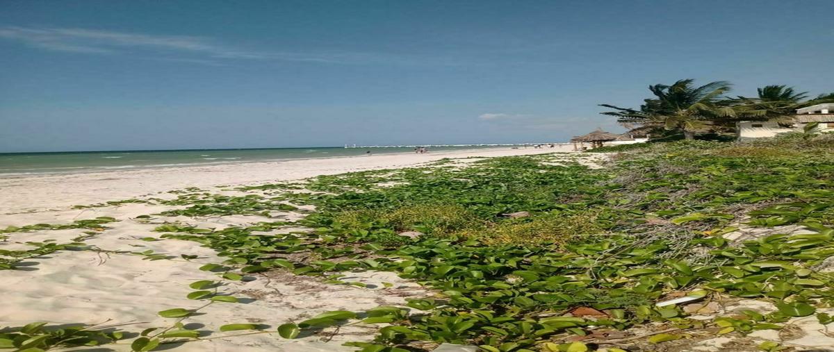 Foto de terreno habitacional en venta en  , telchac puerto, telchac puerto, yucatán, 20232583 No. 03