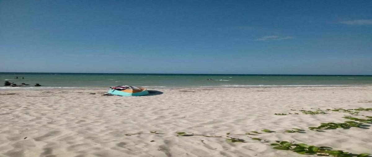 Foto de terreno habitacional en venta en  , telchac puerto, telchac puerto, yucatán, 20232583 No. 04