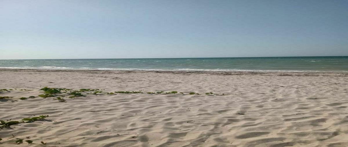 Foto de terreno habitacional en venta en  , telchac puerto, telchac puerto, yucatán, 20232583 No. 05