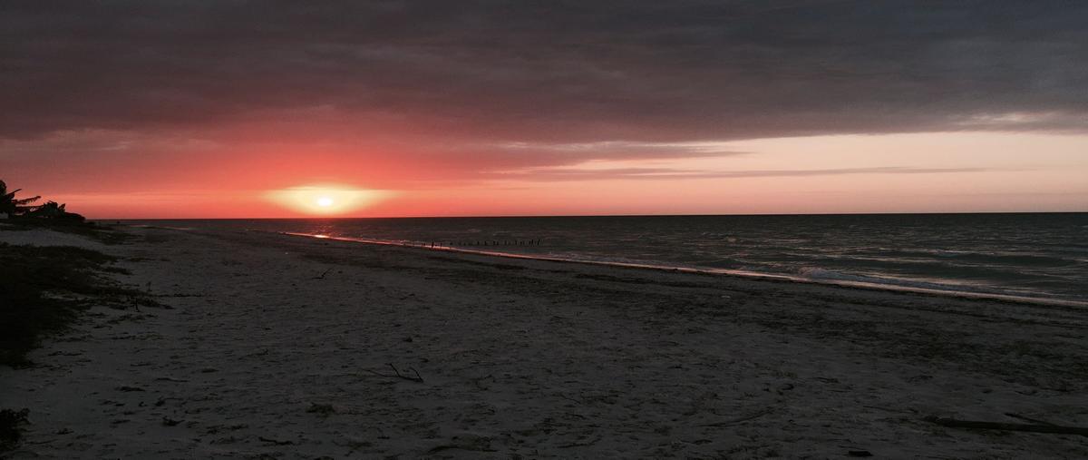 Foto de terreno habitacional en venta en  , telchac puerto, telchac puerto, yucatán, 21590122 No. 05