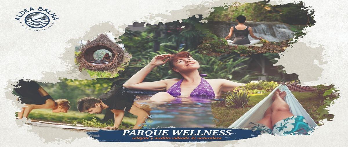 Foto de terreno habitacional en venta en  , telchac puerto, telchac puerto, yucatán, 24929353 No. 04