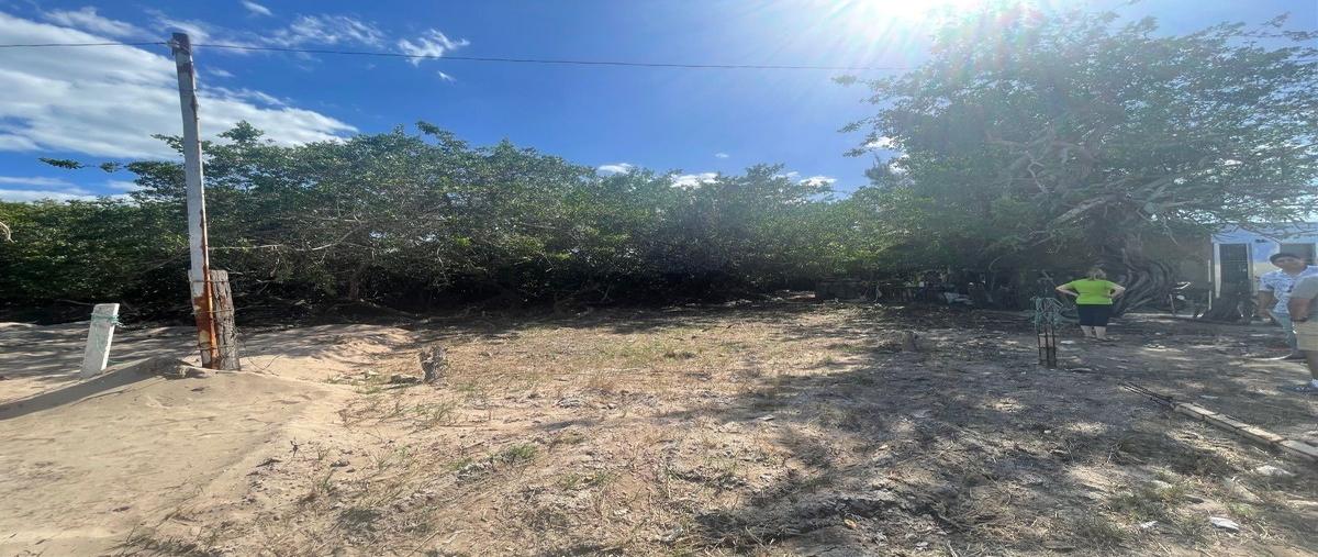 Foto de terreno habitacional en venta en  , telchac puerto, telchac puerto, yucatán, 25573725 No. 03