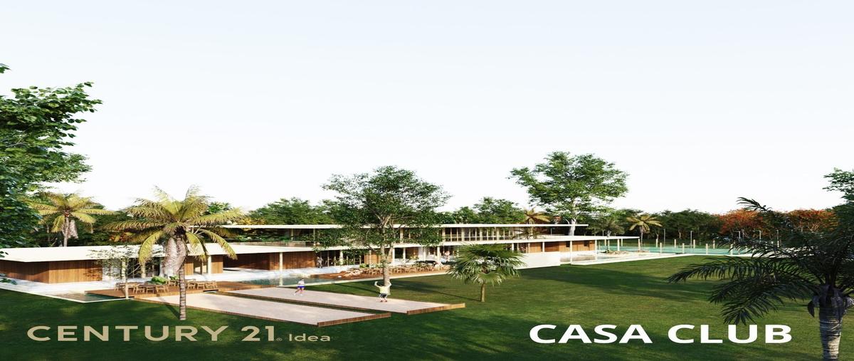 Foto de terreno habitacional en venta en  , telchac puerto, telchac puerto, yucatán, 26402774 No. 03